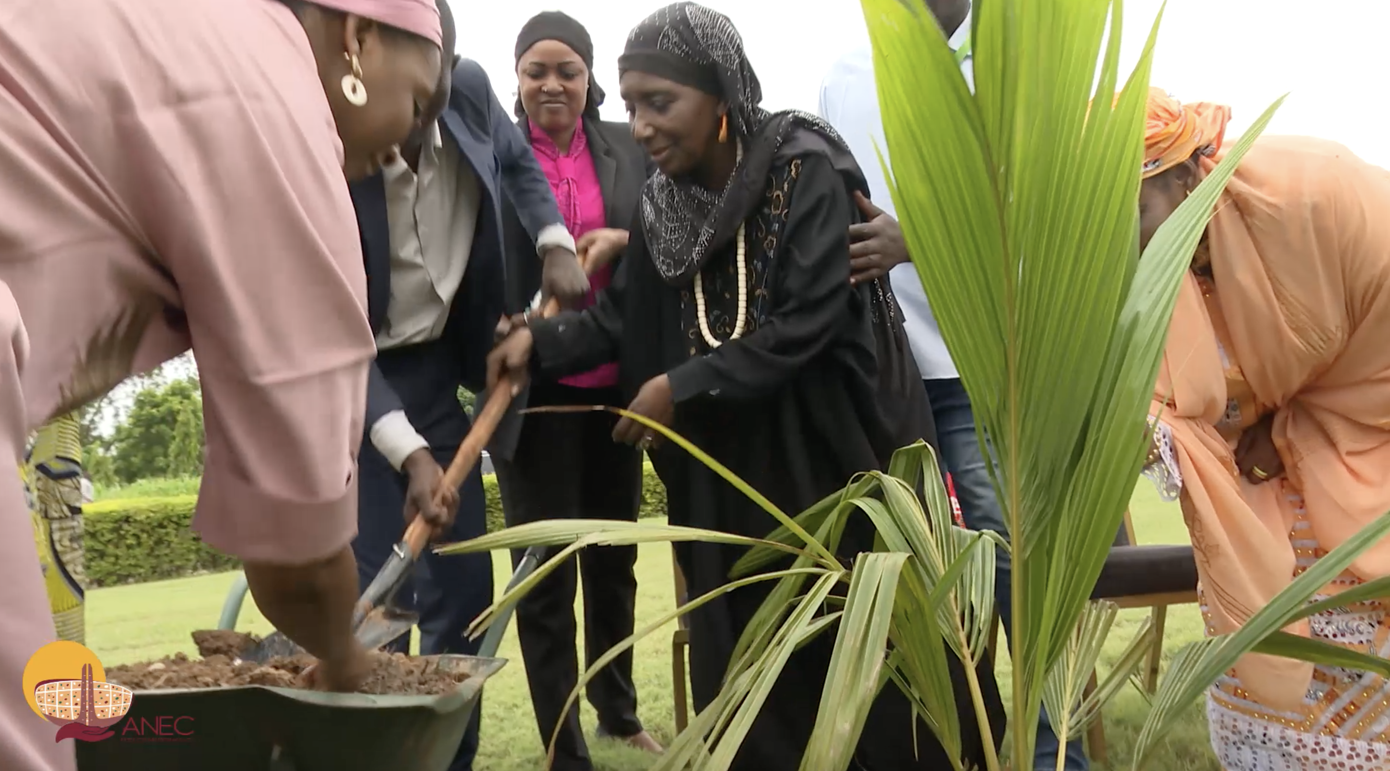 Plantation d’arbre Aïcha Koné